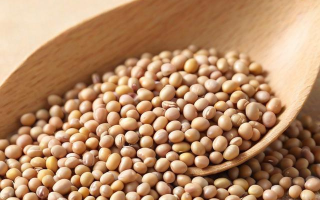 如何正确存储黄豆以保持其新鲜度？