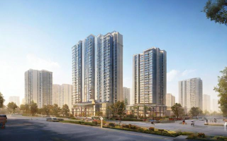 道生国际何时上市？上市时间及最新进展解析