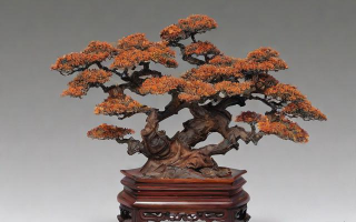 非花红木怎么挑选？选购要点有哪些？