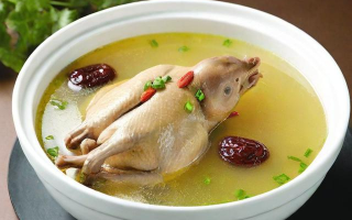 湖北卫视生活帮节目里鸽子汤的制作秘诀是什么？