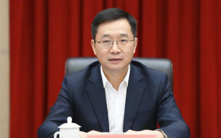 杨桢霄怎么样？他的表现如何？