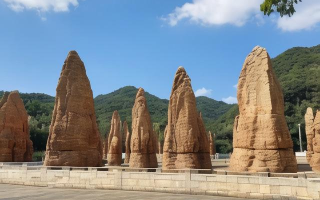 游龙石文化科普馆的门票如何获取？