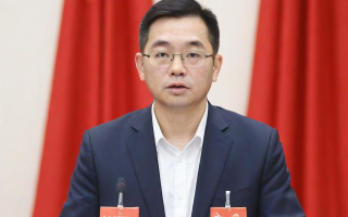 广发成长精选混合A基金的投资策略是什么, 广发成长精选混合A基金的过往业绩如何?