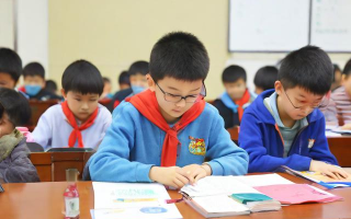 小学科普讲座讲了哪些有趣知识？