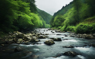 露水河旅游值得去吗？景点、交通及游玩攻略解析
