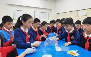 学校如何策划全国科普日活动以提升学生科学素养？