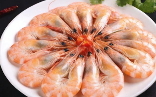 江白虾生活在哪里？