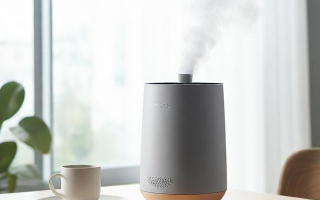 加湿器有哪些知识需要了解？