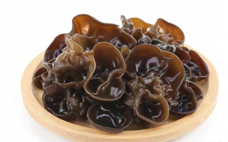 木耳的营养有哪些？其适宜生长环境是怎样的？