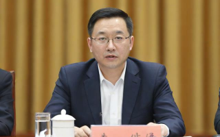 如何办理公司监事？流程与步骤指南