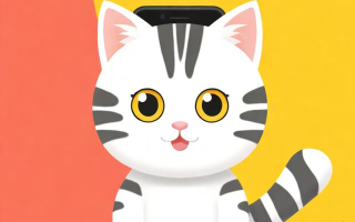 手机怎么弄小猫代打软件