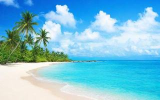 如何在海南注册人力资源公司？流程与条件解析
