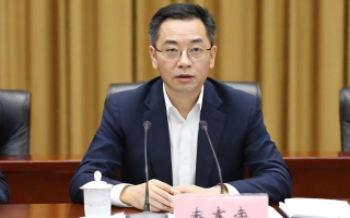 知识产权纠纷案件审理中，法官如何平衡创新保护与公众利益？