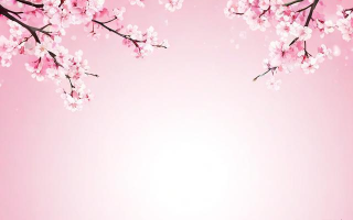 小春网怎么注销？注销步骤是什么？