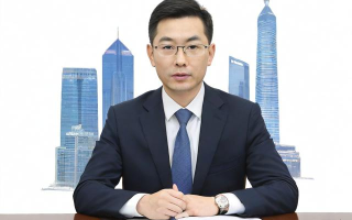 怎么办？自贸区会计代帐如何操作？