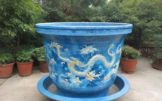 龙缸怎么摆放？摆在哪里合适？有何讲究与禁忌？
