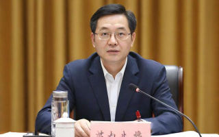 泰达宏利是什么公司？业务背景及服务范围解析