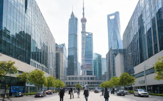 上海欧美企业发展现状如何，和本土企业相比有哪些优劣势？