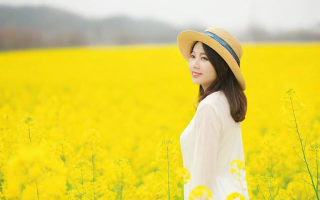 为什么油菜被称为小科普？