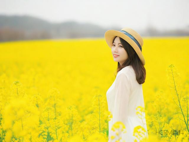为什么油菜被称为小科普?-第1张图片-HCRM百科 为什么油菜被称为小科普?-第1张图片-HCRM百科