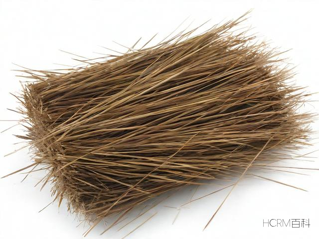 如何区分山棕和椰棕?-第2张图片-HCRM百科 如何区分山棕和椰棕?-第2张图片-HCRM百科