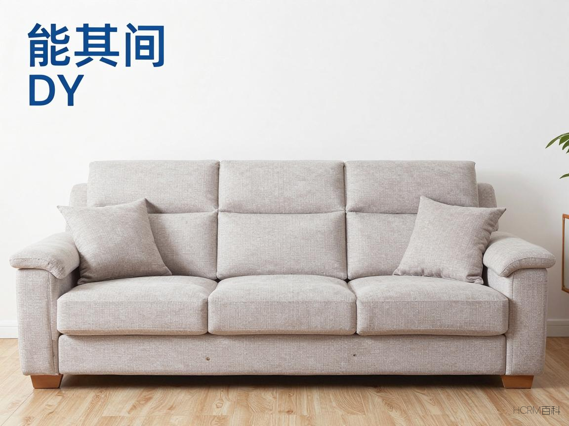 乐其沙发的质量怎么样?价格是否合理?-第1张图片-HCRM百科 乐其沙发的质量怎么样?价格是否合理?-第1张图片-HCRM百科