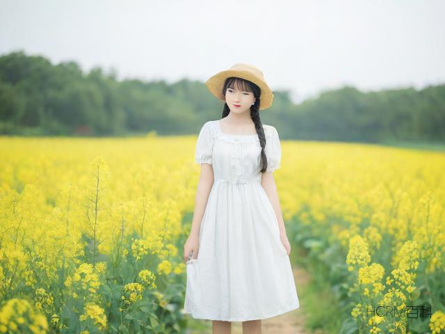 田园风该怎么形容?如何表达其美感?-第1张图片-HCRM百科 田园风该怎么形容?如何表达其美感?-第1张图片-HCRM百科