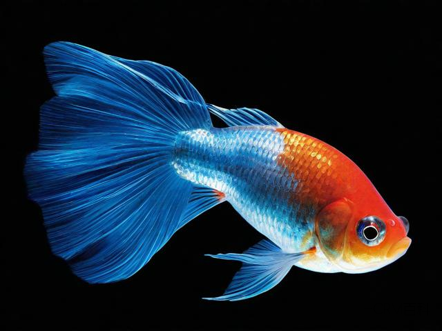 生物科普丛书中有哪些值得一读的推荐?-第1张图片-HCRM百科 生物科普丛书中有哪些值得一读的推荐?-第1张图片-HCRM百科