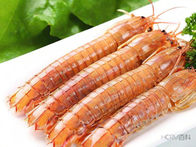 皮皮虾有哪些独特的科普知识?-第1张图片-HCRM百科 皮皮虾有哪些独特的科普知识?-第1张图片-HCRM百科