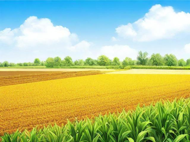 农业科普教育-第2张图片-HCRM百科 农业科普教育-第2张图片-HCRM百科