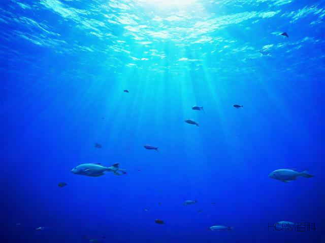 海洋科普篇,海洋有哪些奥秘等待我们探索?-第1张图片-HCRM百科 海洋科普篇,海洋有哪些奥秘等待我们探索?-第1张图片-HCRM百科