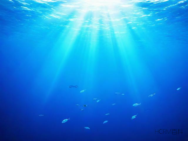 海洋科普篇,海洋有哪些奥秘等待我们探索?-第2张图片-HCRM百科 海洋科普篇,海洋有哪些奥秘等待我们探索?-第2张图片-HCRM百科