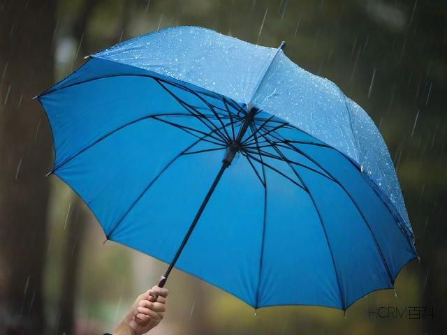 如何旋转雨伞?怎样顺利打开它?-第2张图片-HCRM百科 如何旋转雨伞?怎样顺利打开它?-第2张图片-HCRM百科