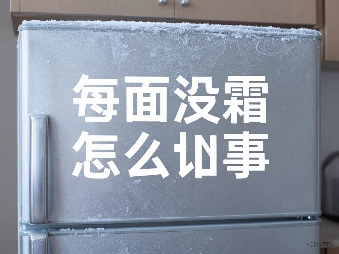 冰箱上面有霜怎么回事？是质量问题还是使用不当？-第2张图片-HCRM百科
