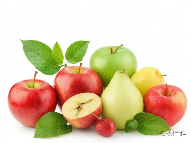生活饮食规律与健康之间有何联系?-第1张图片-HCRM百科 生活饮食规律与健康之间有何联系?-第1张图片-HCRM百科