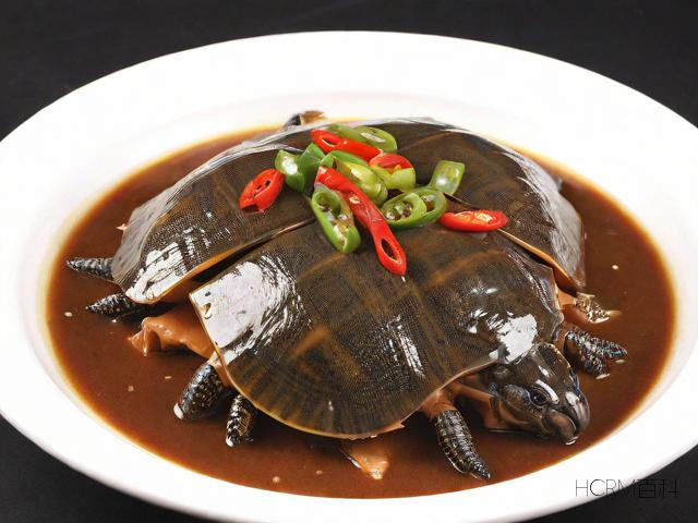 如何烹饪野生甲鱼?-第2张图片-HCRM百科 如何烹饪野生甲鱼?-第2张图片-HCRM百科