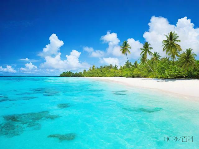怎么在开曼群岛注册公司？注册流程和优势有哪些？-第2张图片-HCRM百科