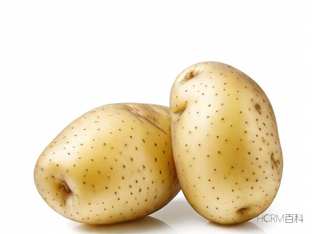 快快乐生活一点通与土豆有何关联?-第2张图片-HCRM百科 快快乐生活一点通与土豆有何关联?-第2张图片-HCRM百科