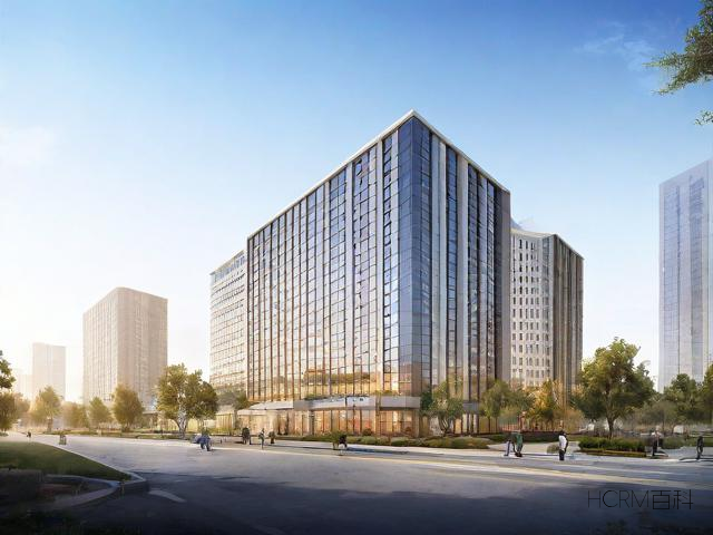 国际有限公司注册需满足哪些条件具体流程是什么-第1张图片-HCRM百科