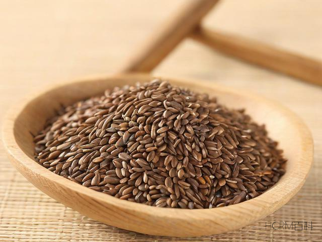 生活中的种子食品-第2张图片-HCRM百科 生活中的种子食品-第2张图片-HCRM百科
