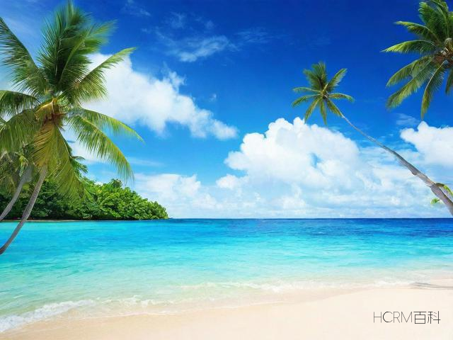 如何在海南注册贸易公司？需要哪些步骤？-第2张图片-HCRM百科