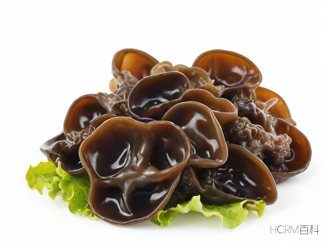 木耳的营养有哪些?其适宜生长环境是怎样的?-第2张图片-HCRM百科 木耳的营养有哪些?其适宜生长环境是怎样的?-第2张图片-HCRM百科