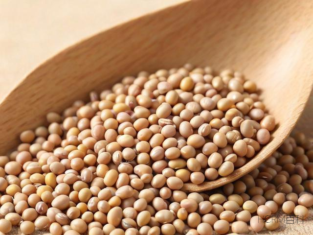 如何正确存储黄豆以保持其新鲜度？-第1张图片-HCRM百科
