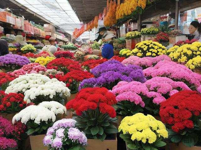 如何正确撰写花卉市场经营范围?SEO友好标题建议-第2张图片-HCRM百科 如何正确撰写花卉市场经营范围?SEO友好标题建议-第2张图片-HCRM百科