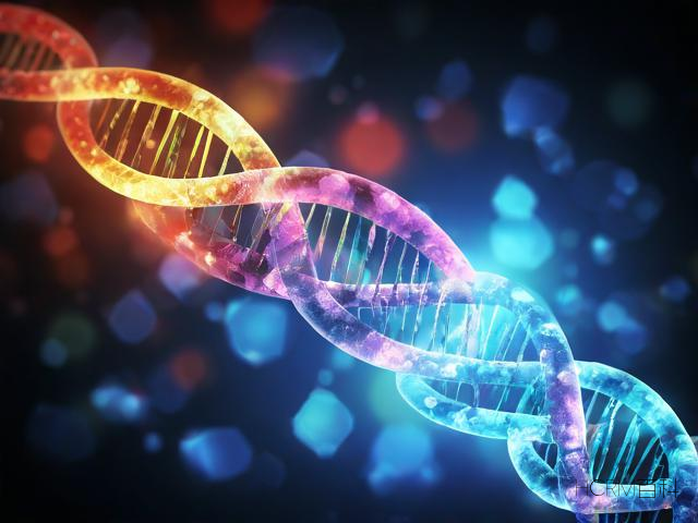 DNA属于计算机内存吗?解析其存储机制与区别-第1张图片-HCRM百科 DNA属于计算机内存吗?解析其存储机制与区别-第1张图片-HCRM百科