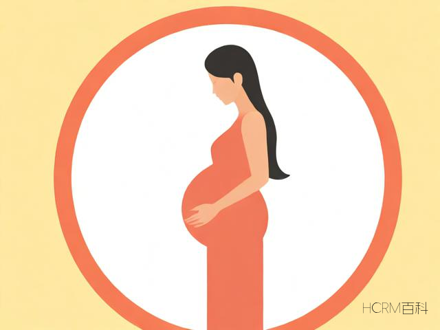 孕知识app-第1张图片-HCRM百科 孕知识app-第1张图片-HCRM百科