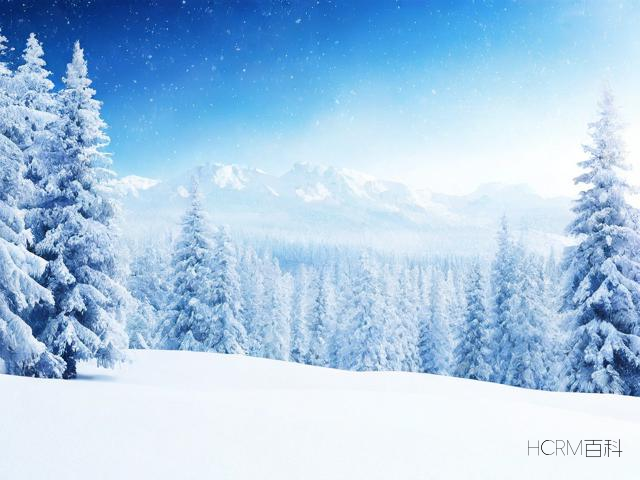 雪景手机壁纸照片怎么弄-第2张图片-HCRM百科 雪景手机壁纸照片怎么弄-第2张图片-HCRM百科